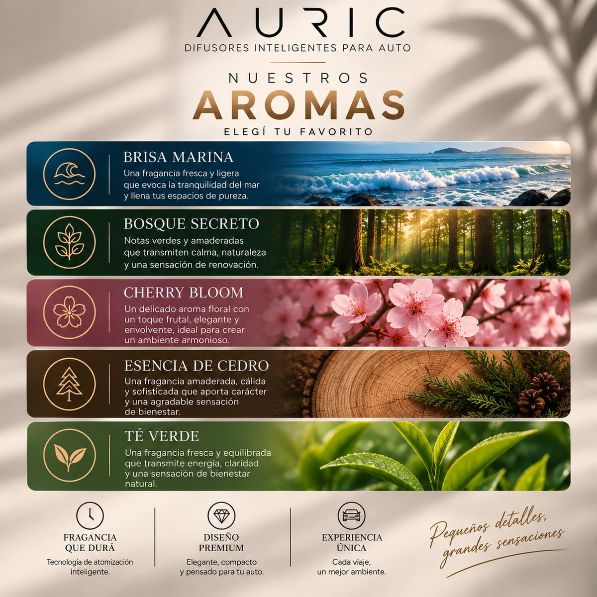 Aromas AURIC® para difusor LUXURY: Brisa Marina, Bosque Secreto, Cherry Bloom, Esencia de Cedro y Té Blanco